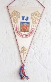 Zobrazit detail zboží: TJ Valašské Meziříčí (RETRO Sportovní)
