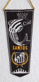 Santos Futebol Clube