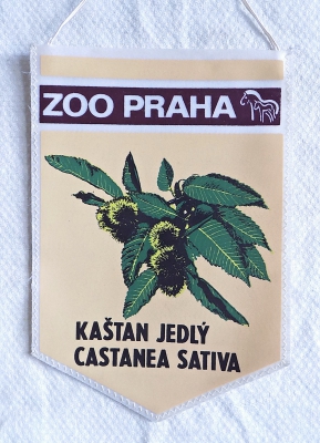 Zvětšit
