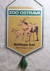 Zobrazit detail zboží: ZOO Ostrava Antilopa losí Taurotragus oryx (RETRO Ostatní)