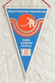 Zobrazit detail zboží: TJ Hutní Montáže Ostrava oddíl Ledního hokeje / Vítkovice Hutní Montáže k.p. Ostrava (RETRO Sportovní)