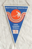 TJ Hutní Montáže Ostrava oddíl Ledního hokeje / Vítkovice Hutní Montáže k.p. Ostrava