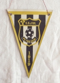 Zobrazit detail zboží: C.S. JIUL PETROSANI 1919 (RETRO Sportovní)