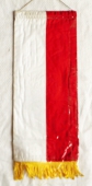 Polska Federacja Sportu