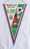 Oddíl kopané  TJ SPARTAK Přerovské Strojírny   / Finále Českého Poháru žáků v kopané O míč Ivo Viktora 1981