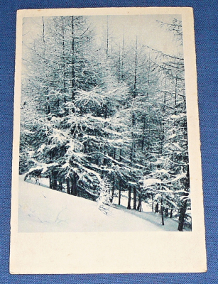 Zvětšit