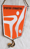 TJ VSŽ-Košice   /  športová gymnastika