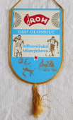 Zobrazit detail zboží: OSP Olomouc Odborářská Tělovýchova  /  Okresní Stavební podnik Olomouc (RETRO Sportovní)