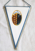 Zobrazit detail zboží: TJŽ Prostějov (RETRO Sportovní)