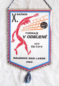 Zobrazit detail zboží: X. ročník turnaje v odbíjené SVP ČO ČSTV Roudnice nad Labem 1984  /  Techniasport podnik ČO ČSTV Ústí nad Labem (RETRO Sportovní)