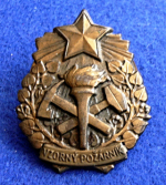 Zobrazit detail zboží: Vzorný požárník III.stupeň (s číslem) (Hasičské)