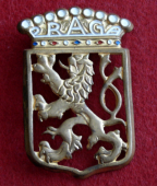 Zobrazit detail zboží: Praga - velký odznak (Pracovní)