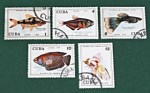 Zobrazit detail zboží: Poštovní známky : příroda - ryby : Cuba (Poštovní známky - témata B)