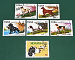 Zobrazit detail zboží: Poštovní známky : příroda - psi : Cuba (Poštovní známky - témata)