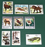 Zobrazit detail zboží: Poštovní známky : příroda - různé : Cuba, DDR, Polska (Poštovní známky - témata)