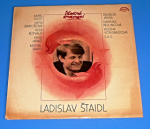 Zobrazit detail zboží: Štaidl : Ladislav Štaidl - Šťastné znamení (České)