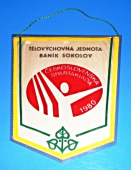 Pracující koncernu HDB Sokolov zdraví 35.výročí osvobození Československa 1945-1980 / TJ Baník Sokolov - Československá spartakiáda 1980