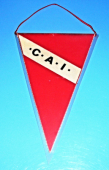 Zobrazit detail zboží: .C.A.I. Independiente Argentina (vlaječky různé)