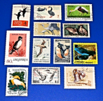 Zobrazit detail zboží: Poštovní známky : příroda - ptáci : CCCP, Shoiperia, Caledonie, Romana, Australes, RSA, Magyar, Manama (Poštovní známky - témata)