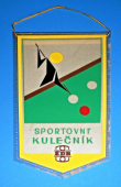 Zobrazit detail zboží: TJ ŽD Bohumín - Sportovní kulečník  ŽDB (TJ ŽDB kulečník, ZRTV, atletika)