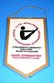 Zobrazit detail zboží: TJ ŽD Bohumín - Oddíl sportovní gymnastiky - Vzorný oddíl ČSTV I.stupně  ŽDB / Železárny a drátovny Bohumín 95 let (TJ ŽDB gymnastika, odbíjená)