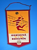 Zobrazit detail zboží: TJ ŽD Bohumín - Odbíjená ŽDB (žlutá) (TJ ŽDB gymnastika, odbíjená)