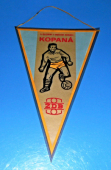 Zobrazit detail zboží: TJ Železárny a Drátovny Bohumín - Kopaná ŽDB (TJ ŽDB fotbal, hokej)