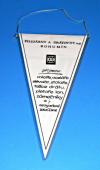 TJ Železárny a Drátovny Bohumín - Kopaná - Vzorný oddíl II. stupně / ŽDB