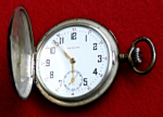 Zenith - stříbrné 0,800