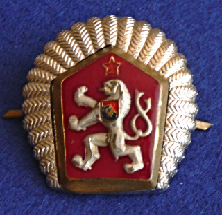 Zvětšit