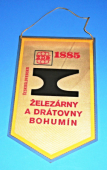 Zobrazit detail zboží: ŽDB - Železárny a drátovny Bohumín Československo 1885 (c) (Provozy, politika 4)