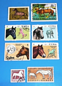 Zobrazit detail zboží: Poštovní známky : příroda - koně : Cuba, Bulgaria, Mongolia, Sverige, Československo (Poštovní známky - témata B)