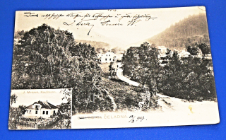 Zvětšit