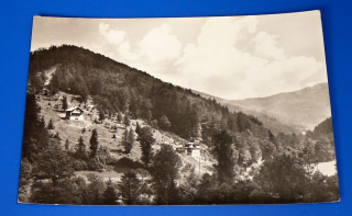 Zvětšit