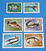 Zobrazit detail zboží: Poštovní známky : příroda - ryby : Congo, CCCP, Vietnam, Domenica, Miquelon (Poštovní známky - témata)
