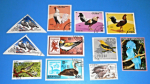 Zobrazit detail zboží: Poštovní známky : příroda - ptáci : Cuba, Mongolia, CCCP, Guinea, Polska, Československo (Poštovní známky - témata)