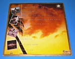 Eddy Grant – Going for Broke