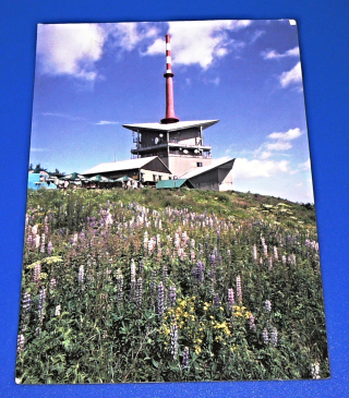 Zvětšit