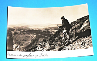 Zvětšit