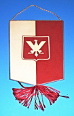Górnik Kostuchna MGKS 1924