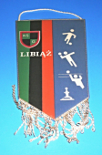 Górnik Klub sportowy Libiaž 1945 při KWK Janina