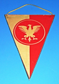 Górnik Katowice KSMK