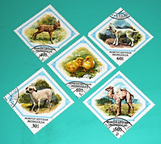 Zvětšit