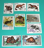 Zobrazit detail zboží: Poštovní známky : příroda - bobři, kuny : CCCP, Polska, Mongolia, Magyar, Cuba, Bulgaria (Poštovní známky - témata)