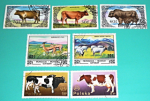 Zobrazit detail zboží: Poštovní známky : příroda - různé : Mongolia, Polska (Poštovní známky - témata)