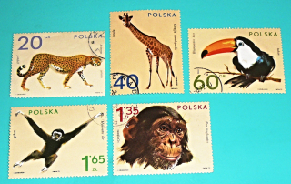 Zvětšit