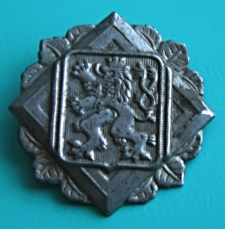 Zvětšit