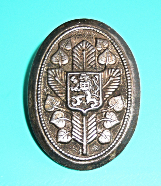 Zvětšit