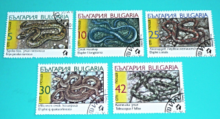 Zvětšit