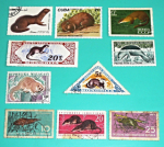 Zobrazit detail zboží: Poštovní známky : příroda - hlodavci : CCCP, Mongolia, Cuba, Niger, Malagasy, DDR (Poštovní známky - témata)